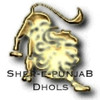 Sher-e-Punjab